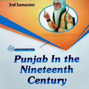 the punjab paper 1